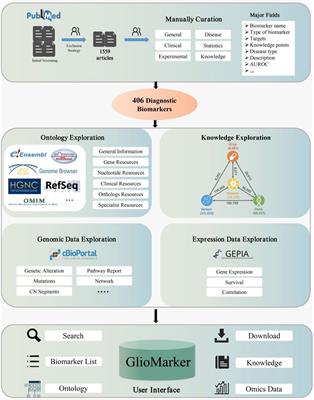 GlioMarker: An integrated database for knowledge exploration of diagnostic biomarkers in gliomas